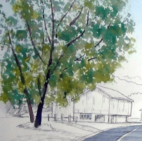 Sponging a watercolor tree step for online tutorial Country road in bright sun with red barn