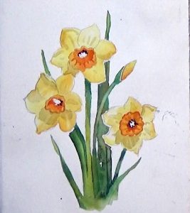 Finished Daffodils without background for Daffodils easy techniques to improve your flower painting watercolor tutorial by Deb Watson
