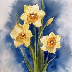 Finished Daffodils with background for Daffodils easy techniques to improve your flower painting watercolor tutorial by Deb Watson