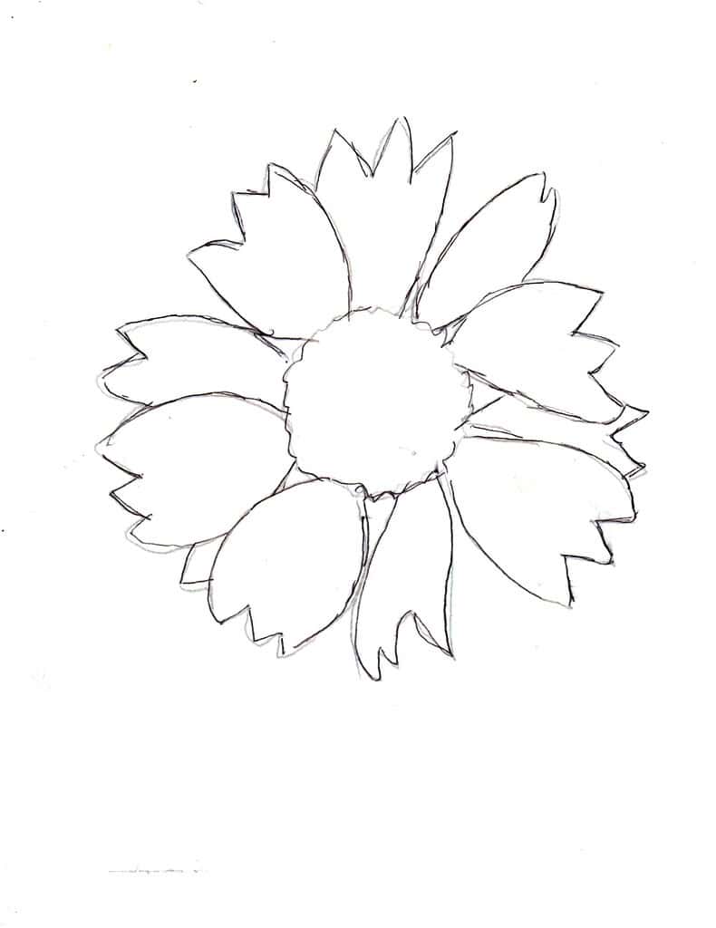 Outline of Blanket flower