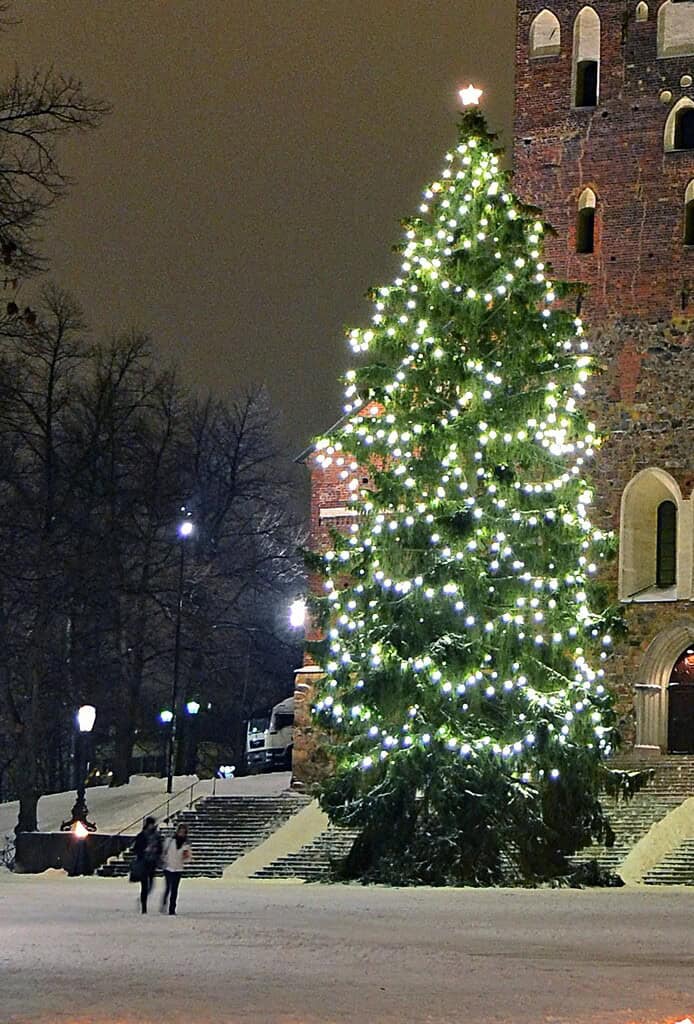 Photo of Christmas tree from Pixabay