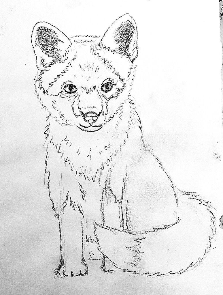 Outline page for cute baby fox watercolor tutorial