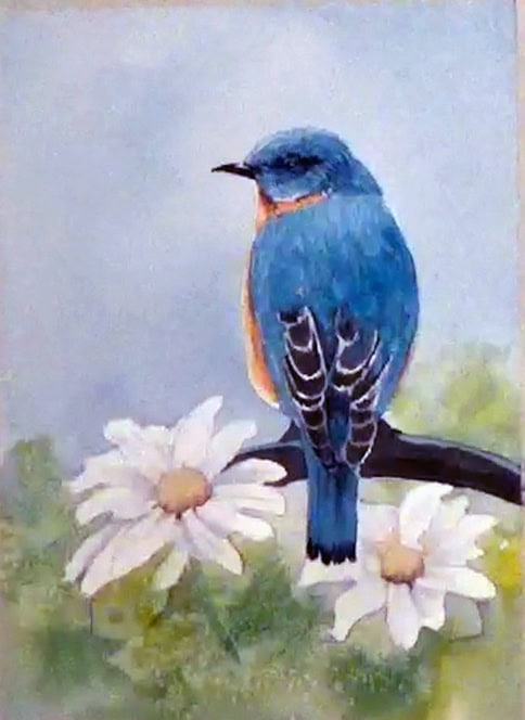 Watercolor painting of blue bird and white flower daisies by Deb Watson