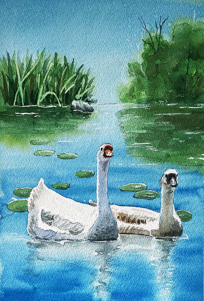 Watercolor painting of two geese on a river with lily pads.