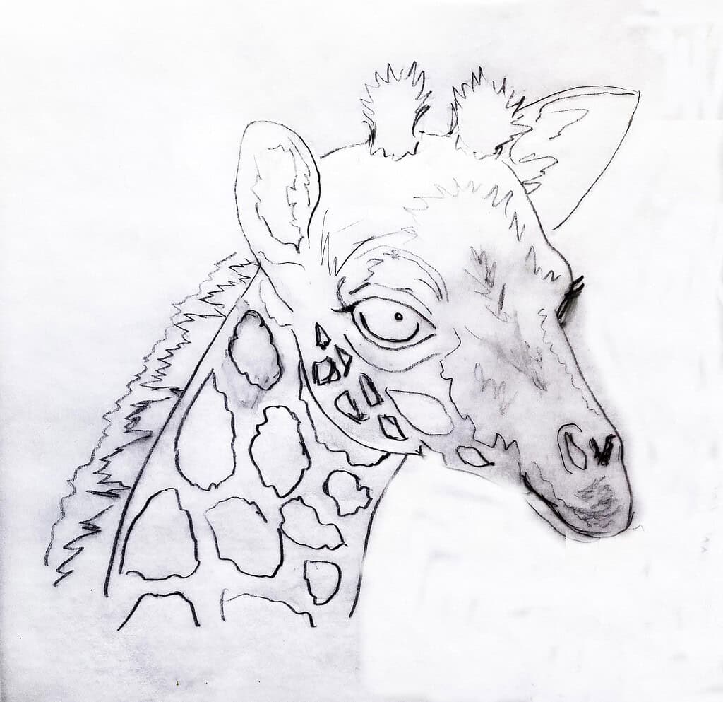 Outline page featuring baby giraffe