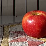 Close up photograph of apple on quilt for reference for watercolor painting tutorial