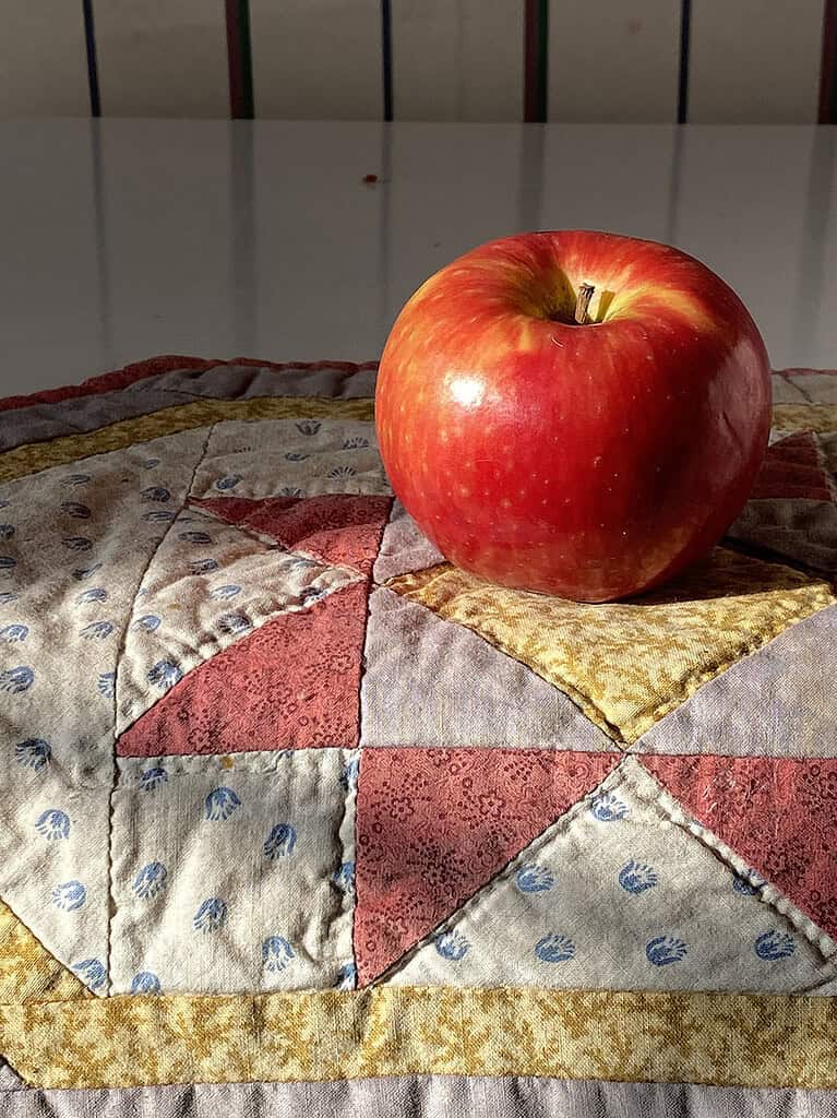 Reference photograph of red apple on quilt for watercolor painting tutorial