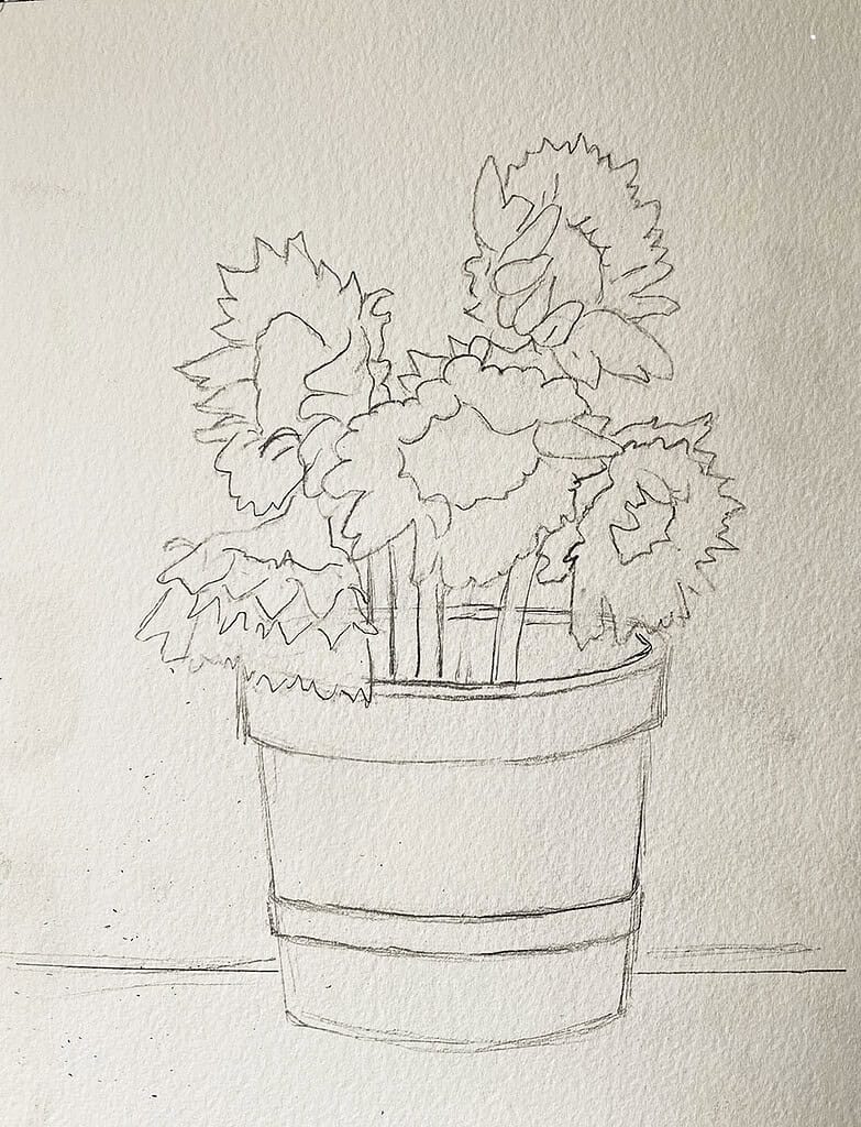 Outline of Sunflowers in a bucket