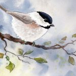 icon watercolor chickadee painting