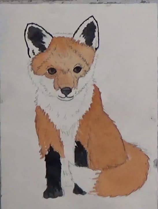 Baby Fox Watercolor Step 1