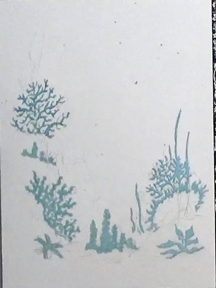 Coral and seaweed watercolor painting with oceanic themes.